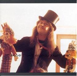 Metallica : Things that Should not Be